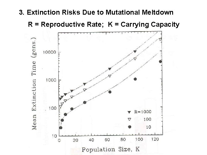 3. Extinction Risks Due to Mutational Meltdown R = Reproductive Rate; K = Carrying