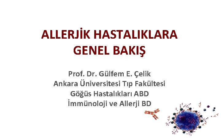 ALLERJİK HASTALIKLARA GENEL BAKIŞ Prof. Dr. Gülfem E. Çelik Ankara Üniversitesi Tıp Fakültesi Göğüs