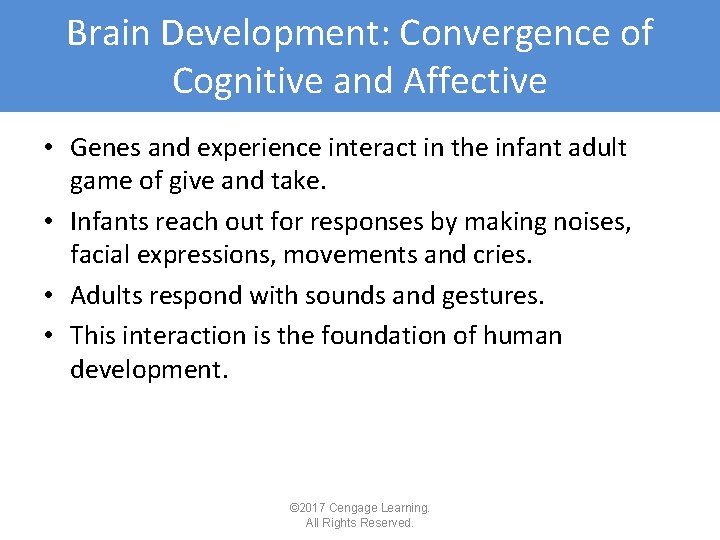 Brain Development: Convergence of Cognitive and Affective • Genes and experience interact in the Brain Development: Convergence of Cognitive and Affective • Genes and experience interact in the