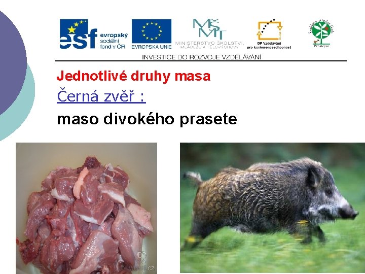 Jednotlivé druhy masa Černá zvěř : maso divokého prasete 