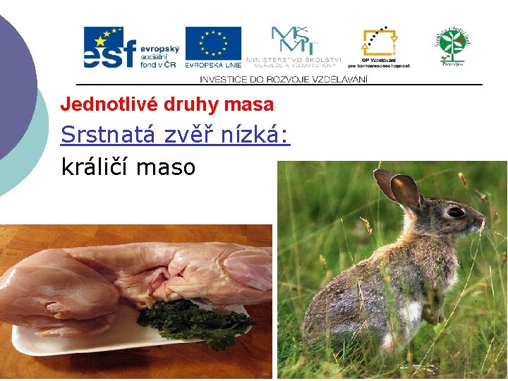 Jednotlivé druhy masa Srstnatá zvěř nízká: králičí maso 