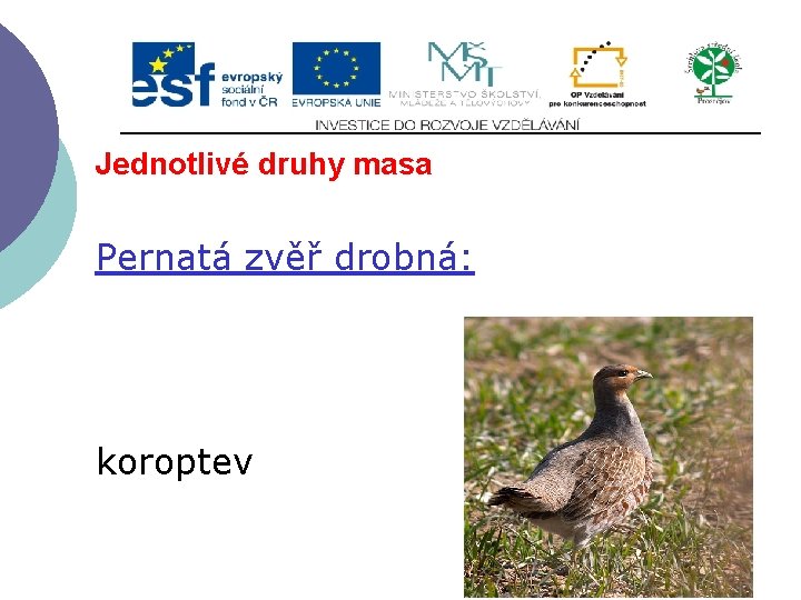 Jednotlivé druhy masa Pernatá zvěř drobná: koroptev 