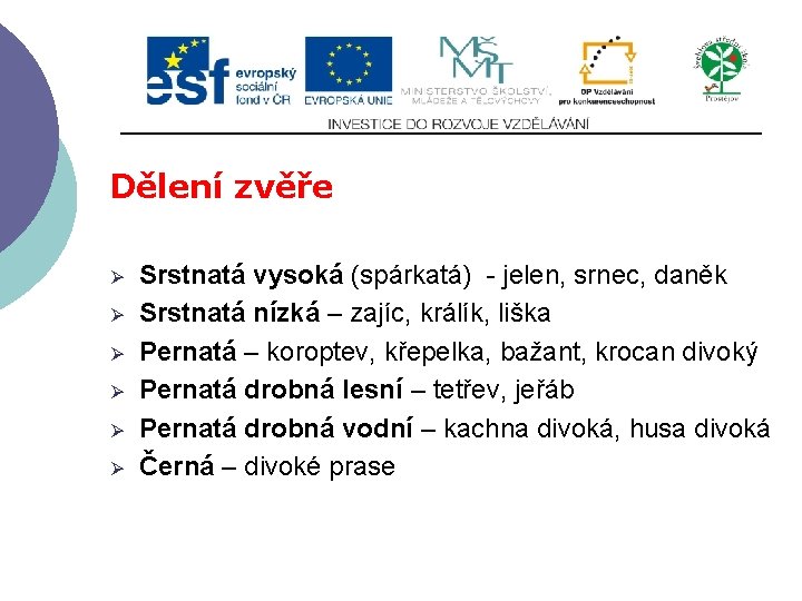 Dělení zvěře Ø Ø Ø Srstnatá vysoká (spárkatá) - jelen, srnec, daněk Srstnatá nízká