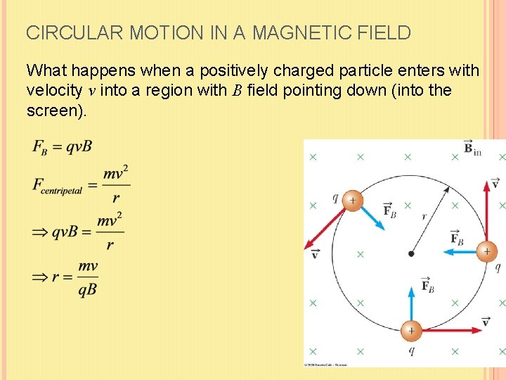 CIRCULAR MOTION IN A MAGNETIC FIELD What happens when a positively charged particle enters