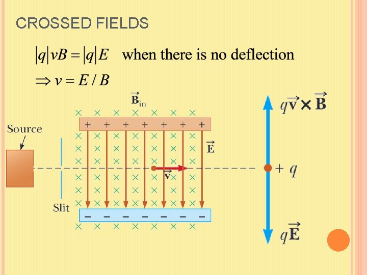 CROSSED FIELDS 