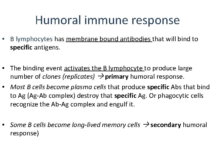 Humoral immune response • B lymphocytes has membrane bound antibodies that will bind to