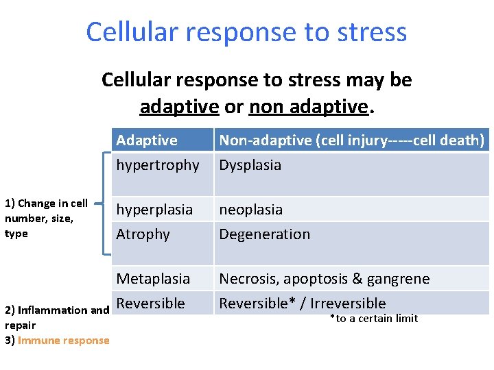Cellular response to stress may be adaptive or non adaptive. 1) Change in cell