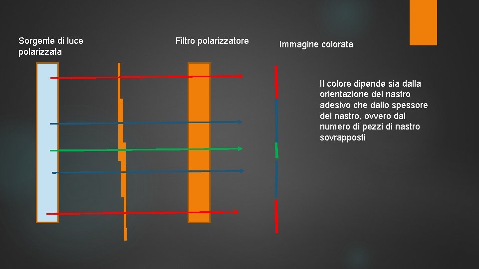 Sorgente di luce polarizzata Filtro polarizzatore Immagine colorata Il colore dipende sia dalla orientazione