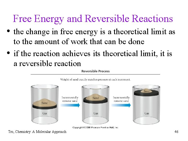 Free Energy and Reversible Reactions • the change in free energy is a theoretical