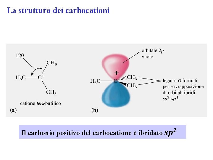 La struttura dei carbocationi + Il carbonio positivo del carbocatione è ibridato sp 2