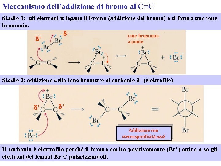 Meccanismo dell’addizione di bromo al C=C Stadio 1: gli elettroni p legano il bromo