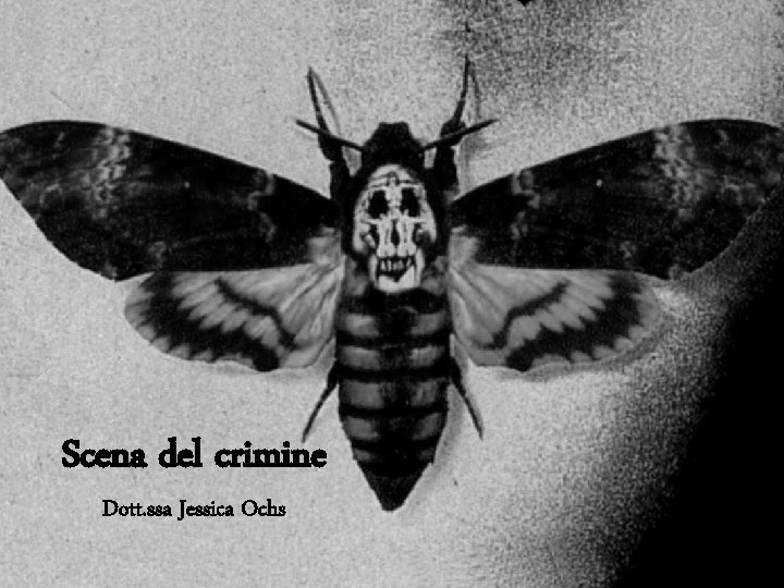 Scena del crimine Dott. ssa Jessica Ochs 
