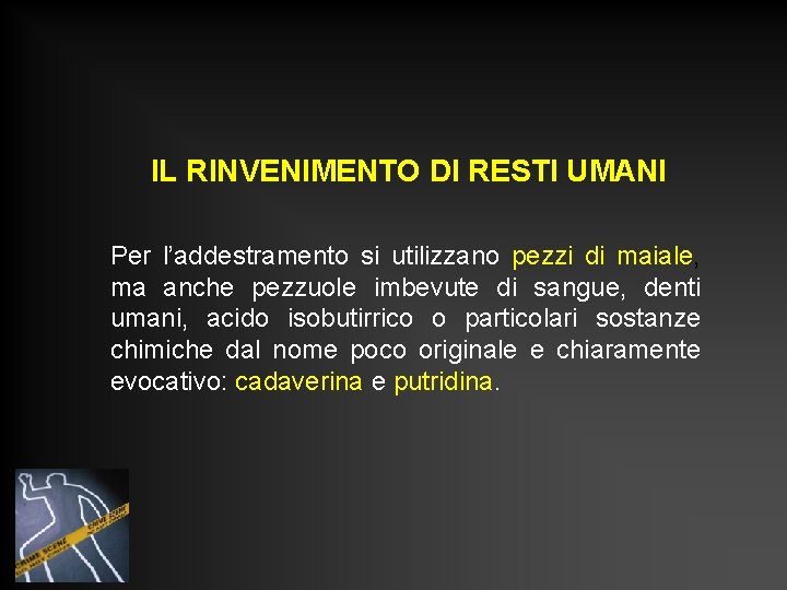 IL RINVENIMENTO DI RESTI UMANI Per l’addestramento si utilizzano pezzi di maiale, ma anche