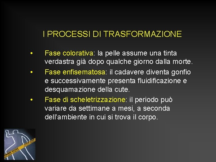 I PROCESSI DI TRASFORMAZIONE • • • Fase colorativa: la pelle assume una tinta