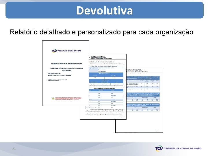 Devolutiva Relatório detalhado e personalizado para cada organização 21 