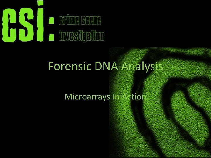 Forensic DNA Analysis Microarrays In Action 