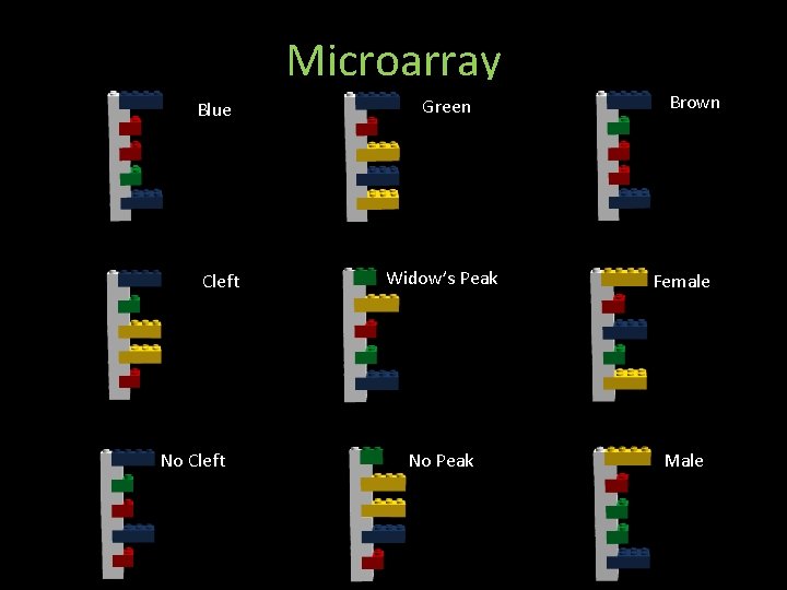 Microarray Blue Cleft No Cleft Green Brown Widow’s Peak Female No Peak Male 