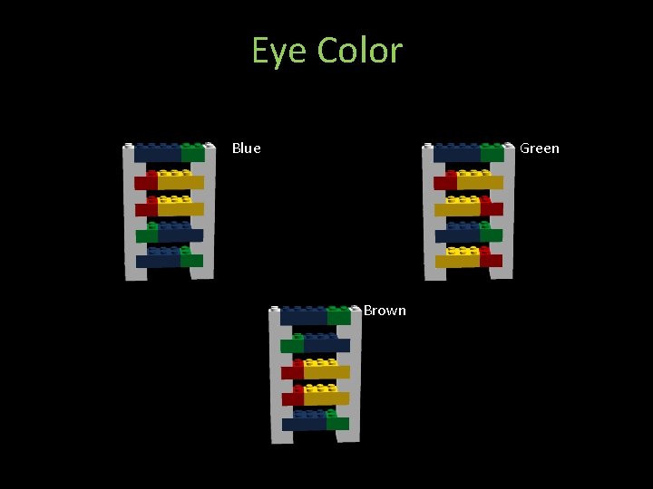 Eye Color Blue Green Brown 