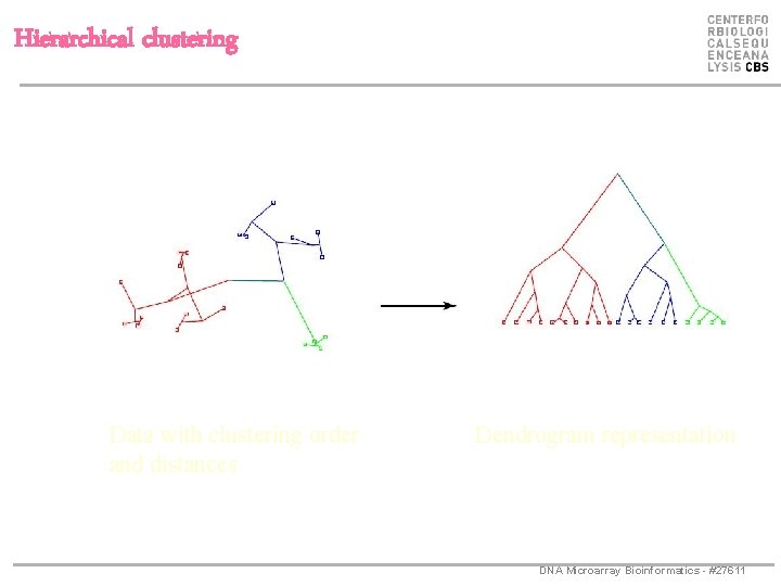 Hierarchical clustering Data with clustering order and distances Dendrogram representation DNA Microarray Bioinformatics -