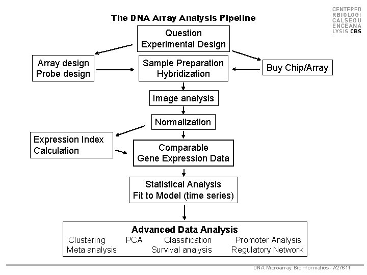 The DNA Array Analysis Pipeline Question Experimental Design Array design Probe design Sample Preparation