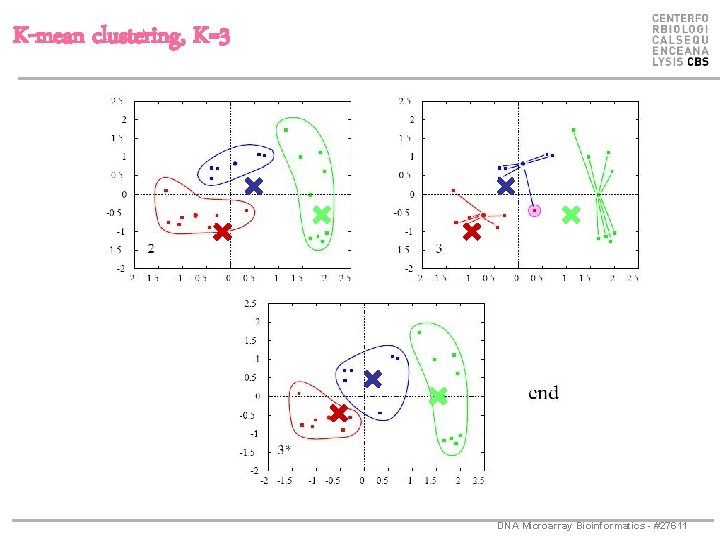 K-mean clustering, K=3 DNA Microarray Bioinformatics - #27611 
