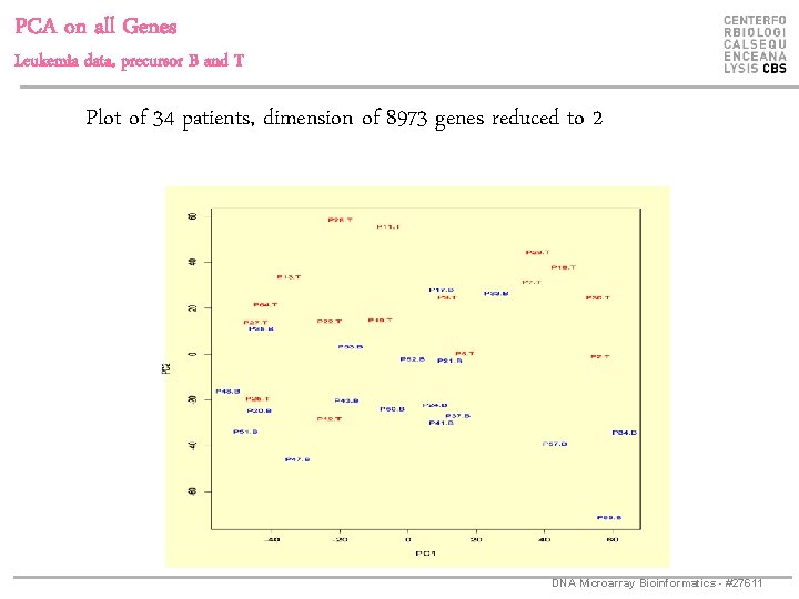 PCA on all Genes Leukemia data, precursor B and T Plot of 34 patients,