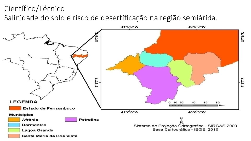 Científico/Técnico Salinidade do solo e risco de desertificação na região semiárida. 