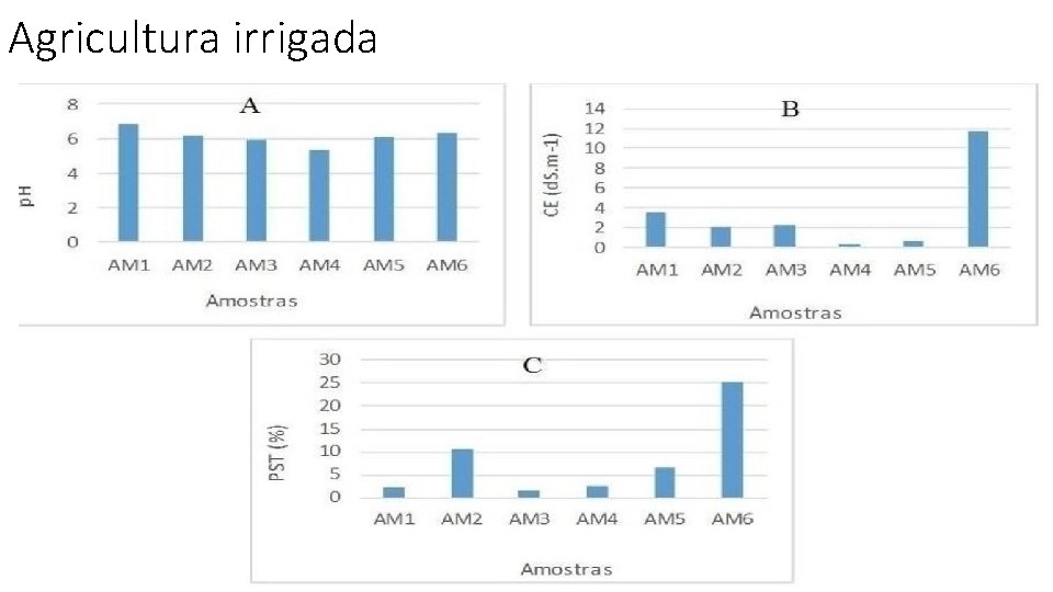 Agricultura irrigada 