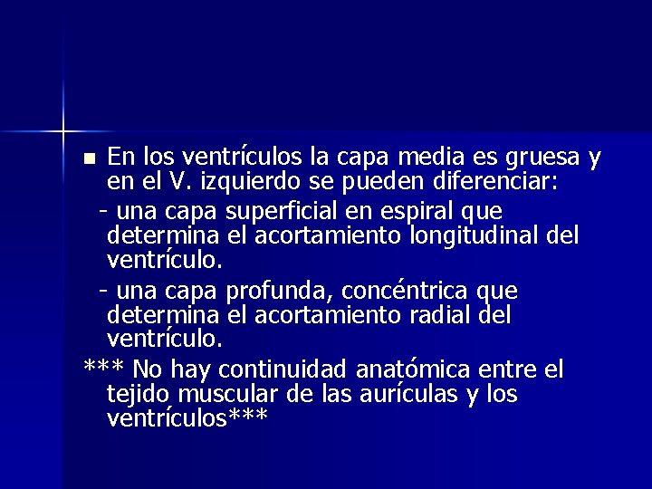 En los ventrículos la capa media es gruesa y en el V. izquierdo se