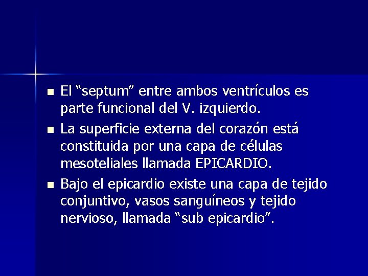 n n n El “septum” entre ambos ventrículos es parte funcional del V. izquierdo.