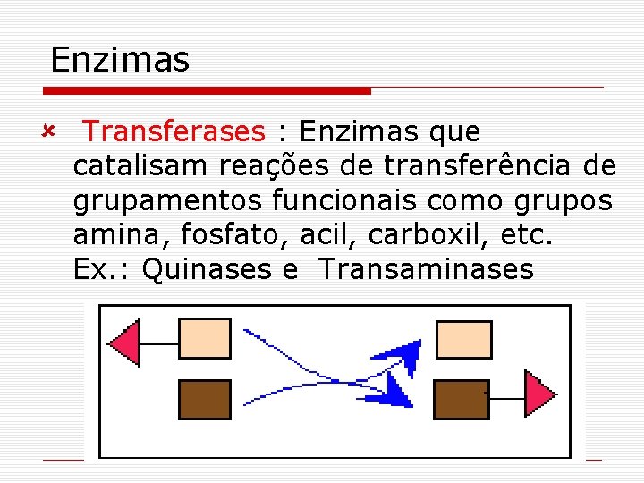 Enzimas û Transferases : Enzimas que catalisam reações de transferência de grupamentos funcionais como Enzimas û Transferases : Enzimas que catalisam reações de transferência de grupamentos funcionais como