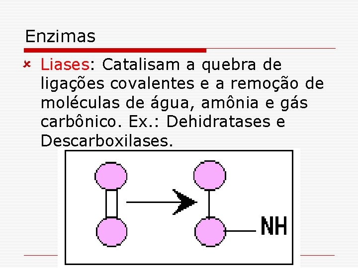 Enzimas û Liases: Catalisam a quebra de ligações covalentes e a remoção de moléculas Enzimas û Liases: Catalisam a quebra de ligações covalentes e a remoção de moléculas