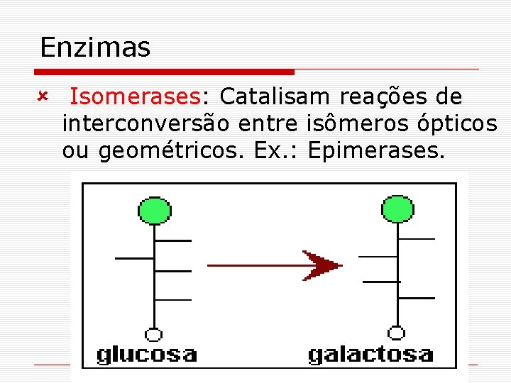 Enzimas û Isomerases: Catalisam reações de interconversão entre isômeros ópticos ou geométricos. Ex. : Enzimas û Isomerases: Catalisam reações de interconversão entre isômeros ópticos ou geométricos. Ex. :