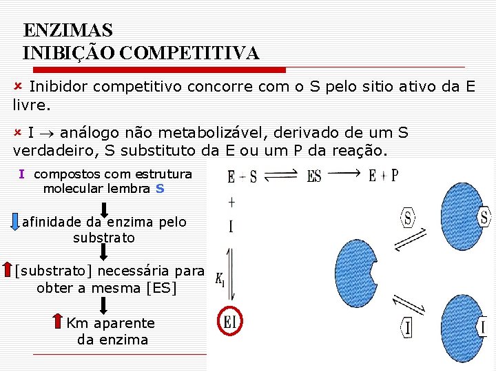 ENZIMAS INIBIÇÃO COMPETITIVA û Inibidor competitivo concorre com o S pelo sitio ativo da ENZIMAS INIBIÇÃO COMPETITIVA û Inibidor competitivo concorre com o S pelo sitio ativo da