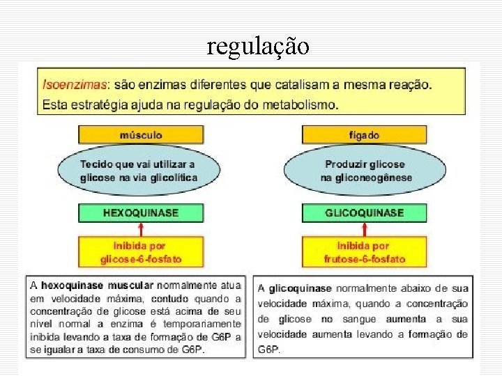 regulação regulação