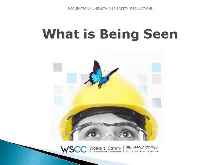 OCCUPATIONAL HEALTH AND SAFETY REGULATIONS What is Being Seen 