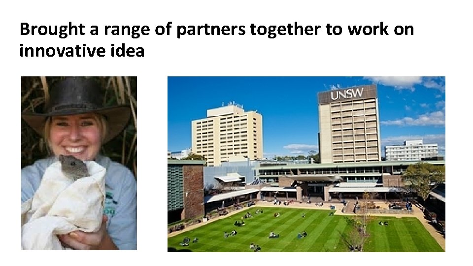 Brought a range of partners together to work on innovative idea 