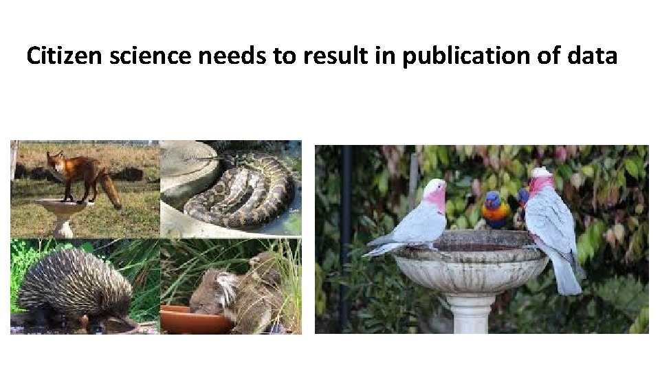 Citizen science needs to result in publication of data 