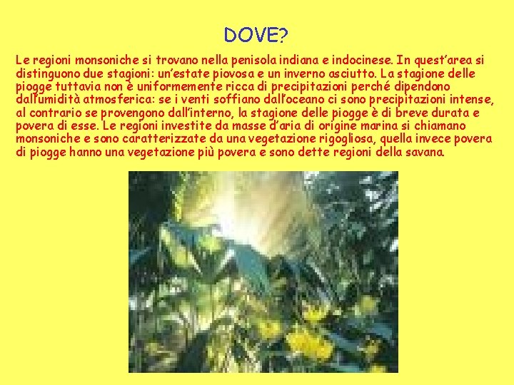 DOVE? Le regioni monsoniche si trovano nella penisola indiana e indocinese. In quest’area si