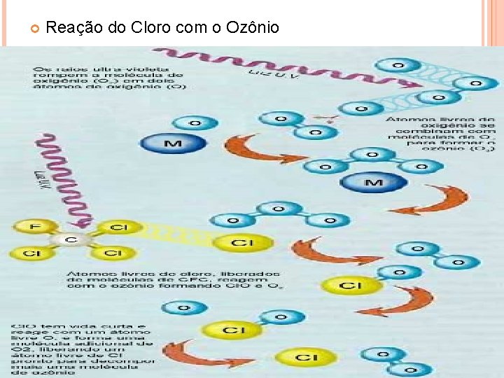  Reação do Cloro com o Ozônio 