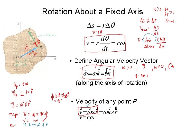 Rotation About a Fixed Axis • Define Angular Velocity Vector (along the axis of