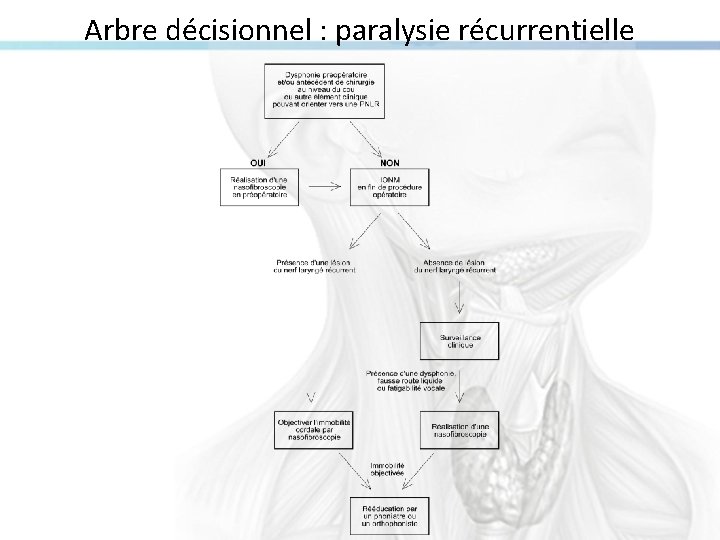 Arbre décisionnel : paralysie récurrentielle 