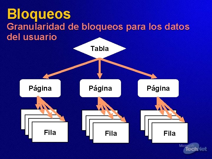 Bloqueos Granularidad de bloqueos para los datos del usuario Tabla Página Fila 