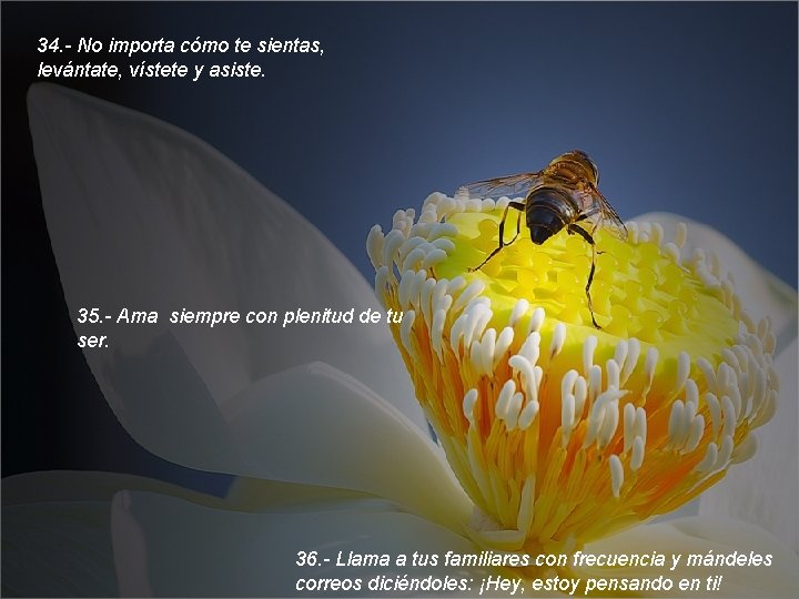 34. - No importa cómo te sientas, levántate, vístete y asiste. 35. - Ama 34. - No importa cómo te sientas, levántate, vístete y asiste. 35. - Ama