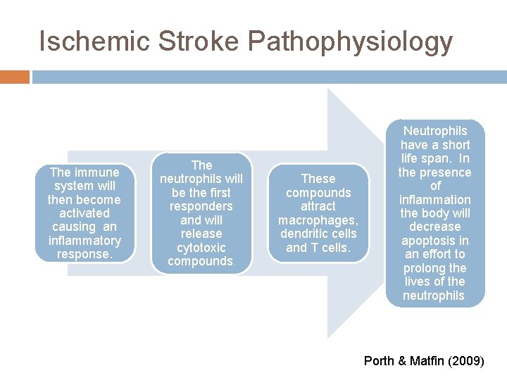 Ischemic Stroke Pathophysiology The immune system will then become activated causing an inflammatory response.