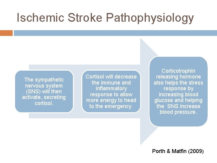 Ischemic Stroke Pathophysiology The sympathetic nervous system (SNS) will then activate, secreting cortisol. Cortisol