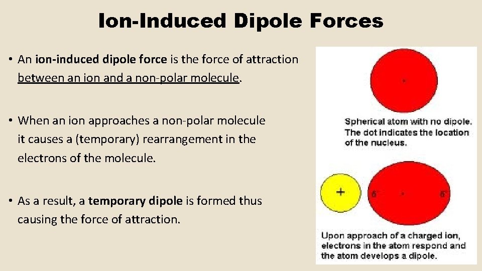 Ion-Induced Dipole Forces • An ion-induced dipole force is the force of attraction between