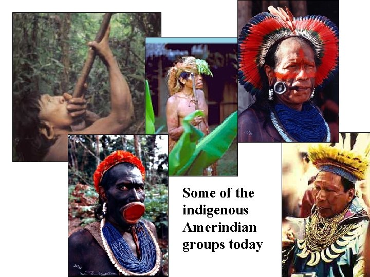 Some of the indigenous Amerindian groups today 