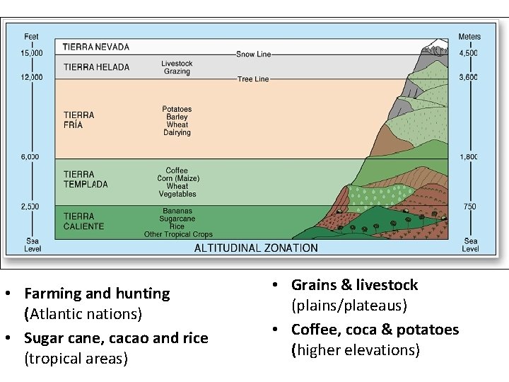 Altitudinal zonation is found in this region. • Farming and hunting (Atlantic nations) •