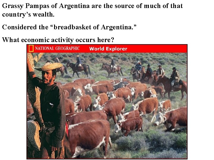 Grassy Pampas of Argentina are the source of much of that country’s wealth. Considered